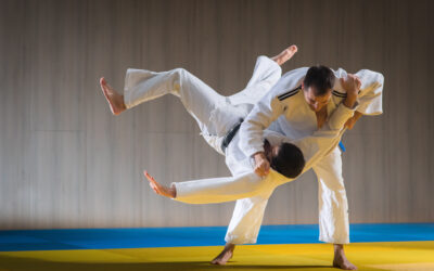Empowerment Through Discipline: Unveiling the Journey with a Certificate in Martial Arts in India